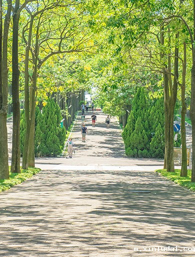 Discover YZU|環遊‧元智