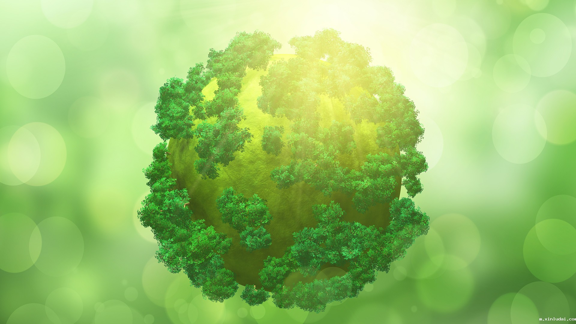 米兰网页版登录入口-米兰(中国)